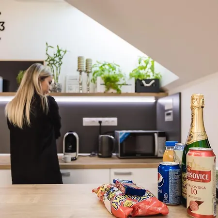 Flexihome Sk - Komenskeho - Private Parking Spot - Ultra Modern And Stylish * Кошице