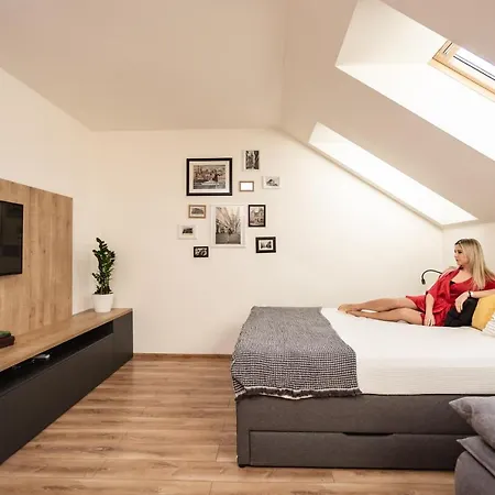 Flexihome Sk - Komenskeho - Private Parking Spot - Ultra Modern And Stylish Appartamento *