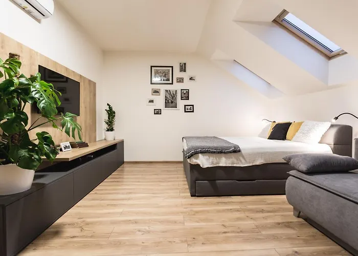 Flexihome Sk - Komenskeho - Private Parking Spot - Ultra Modern And Stylish 公寓 科希策